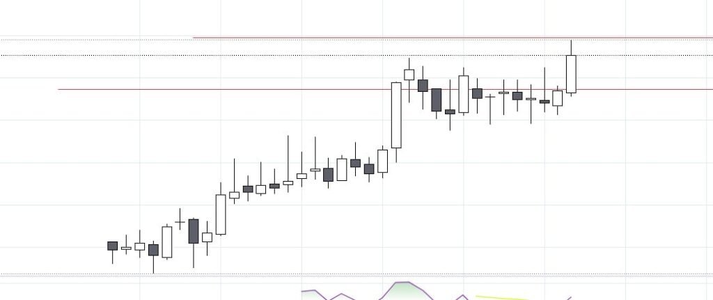 steelcast monyhly chart